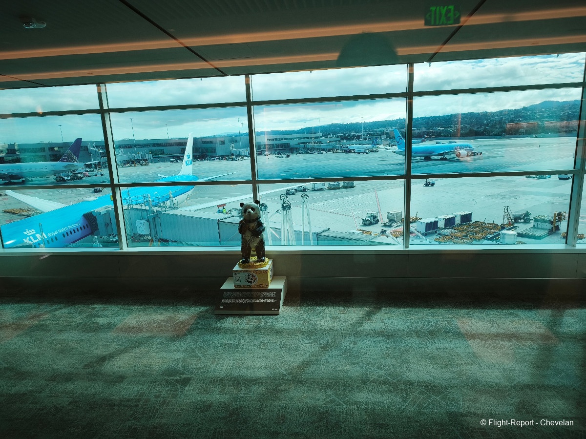 photo mvimg_20260301_130358