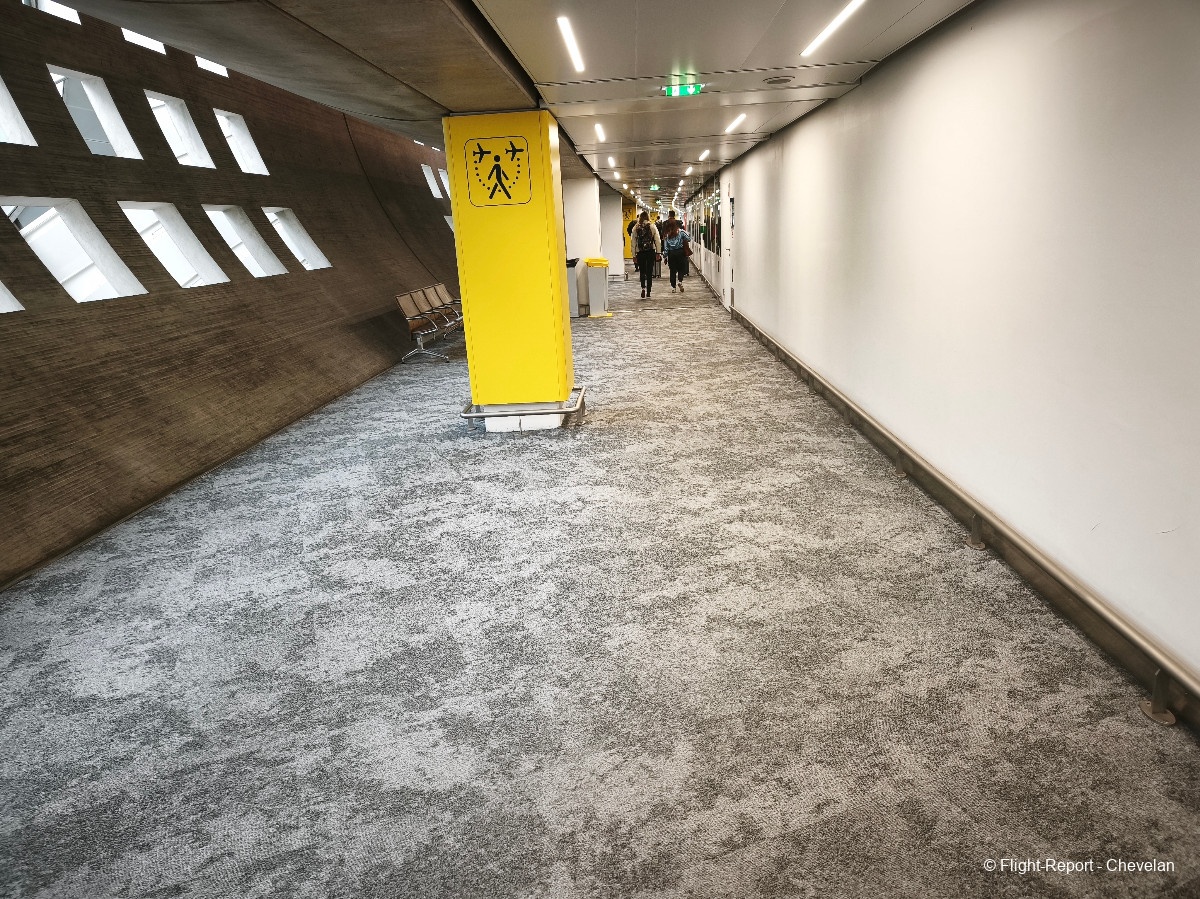 photo mvimg_20260306_131518