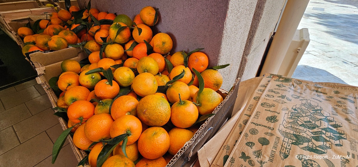 photo 20241012_111240