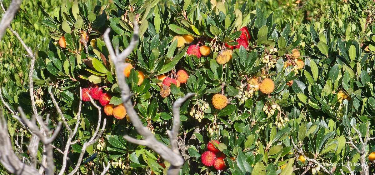 photo 20241012_121714