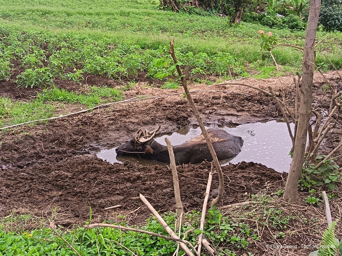 photo img_20250904_092447