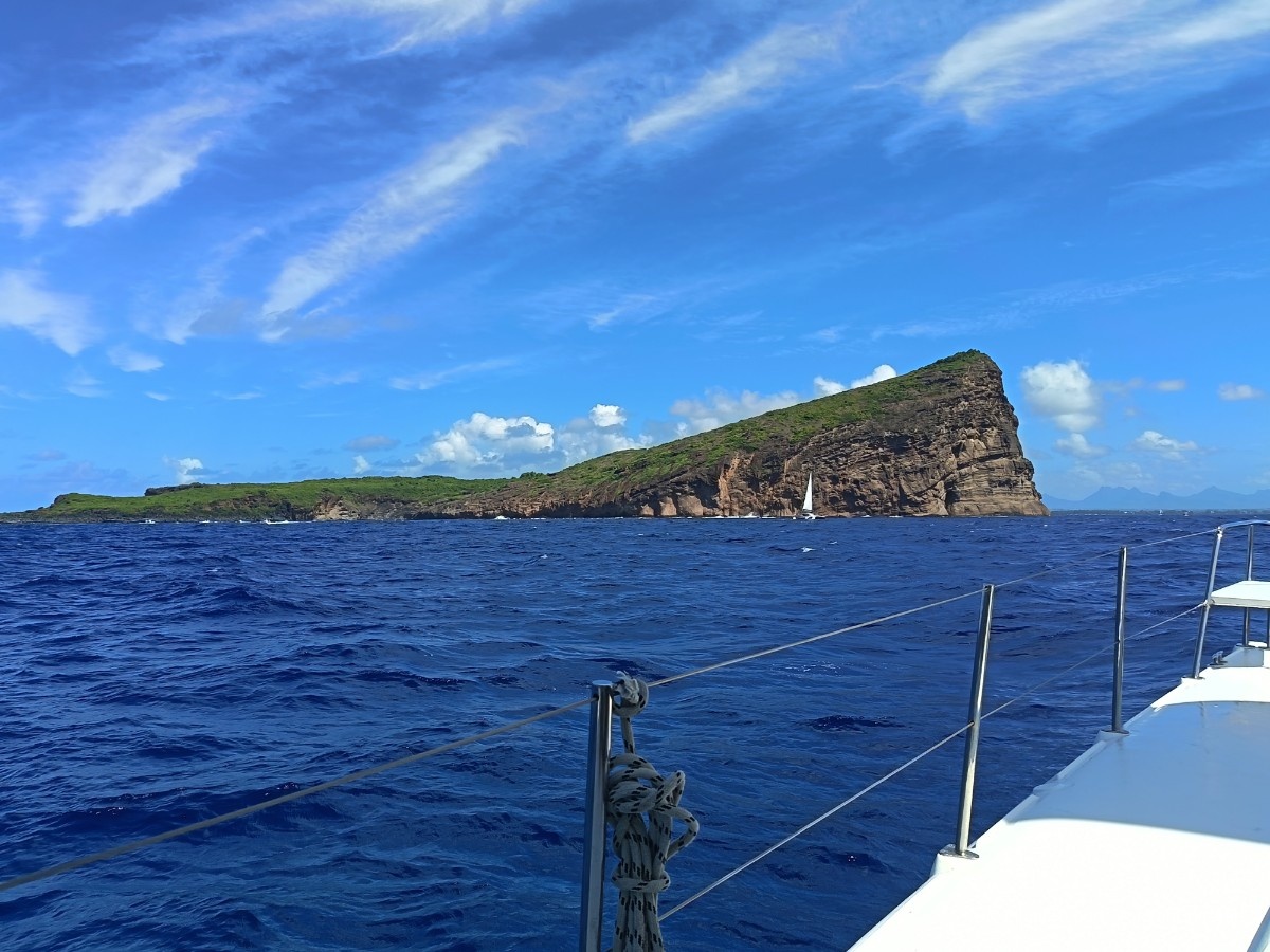 photo img_20260303_143522