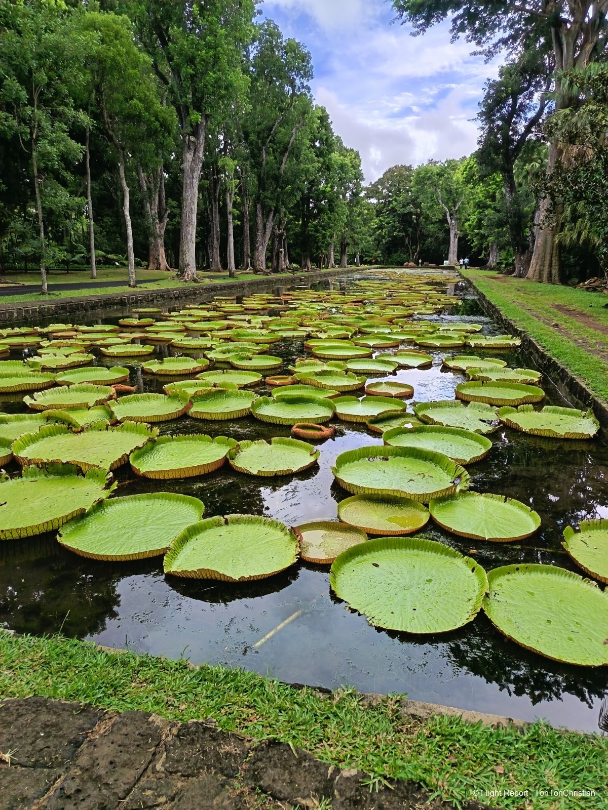 photo img_20260307_094725