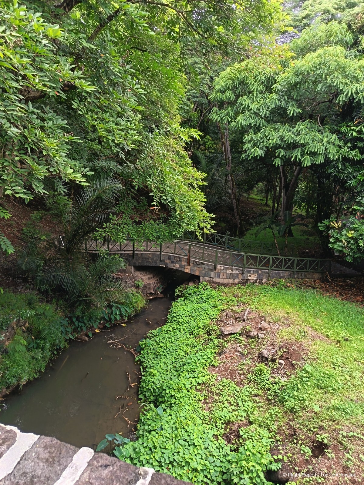 photo img_20260307_095653