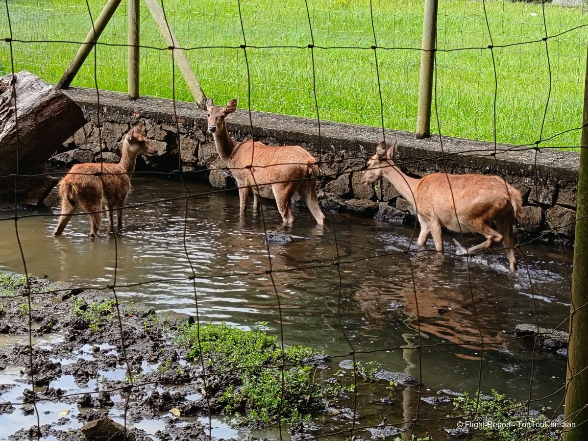 photo img_20260307_101952