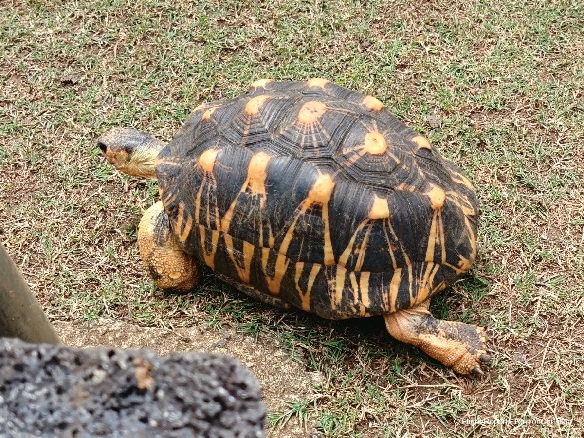 photo img_20260307_102450