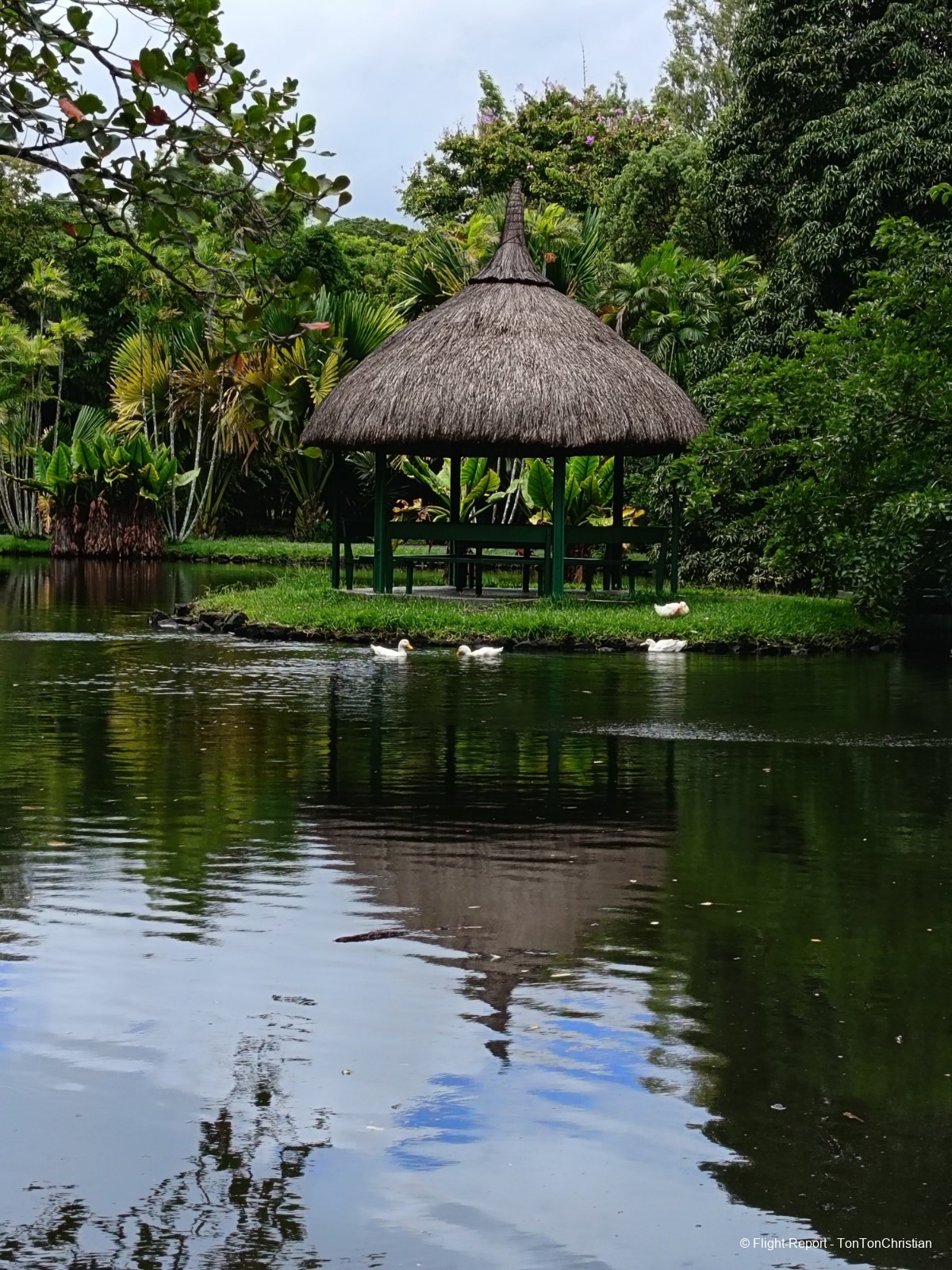 photo img_20260307_102942