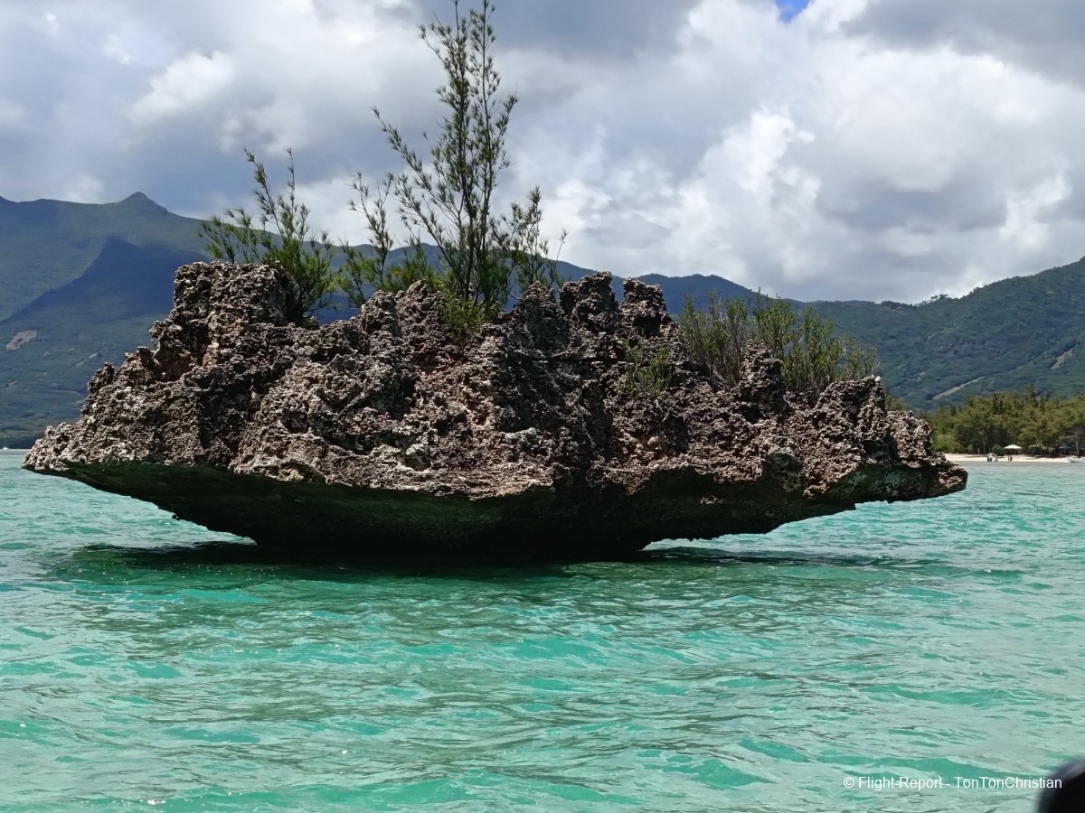 photo img_20260309_123415