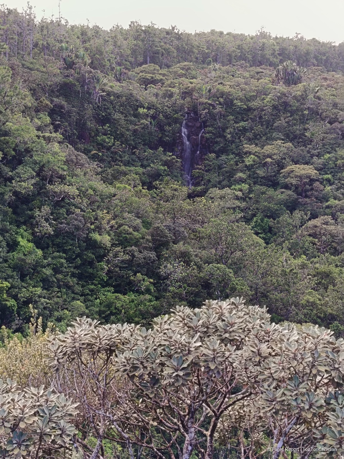 photo img_20260311_094233