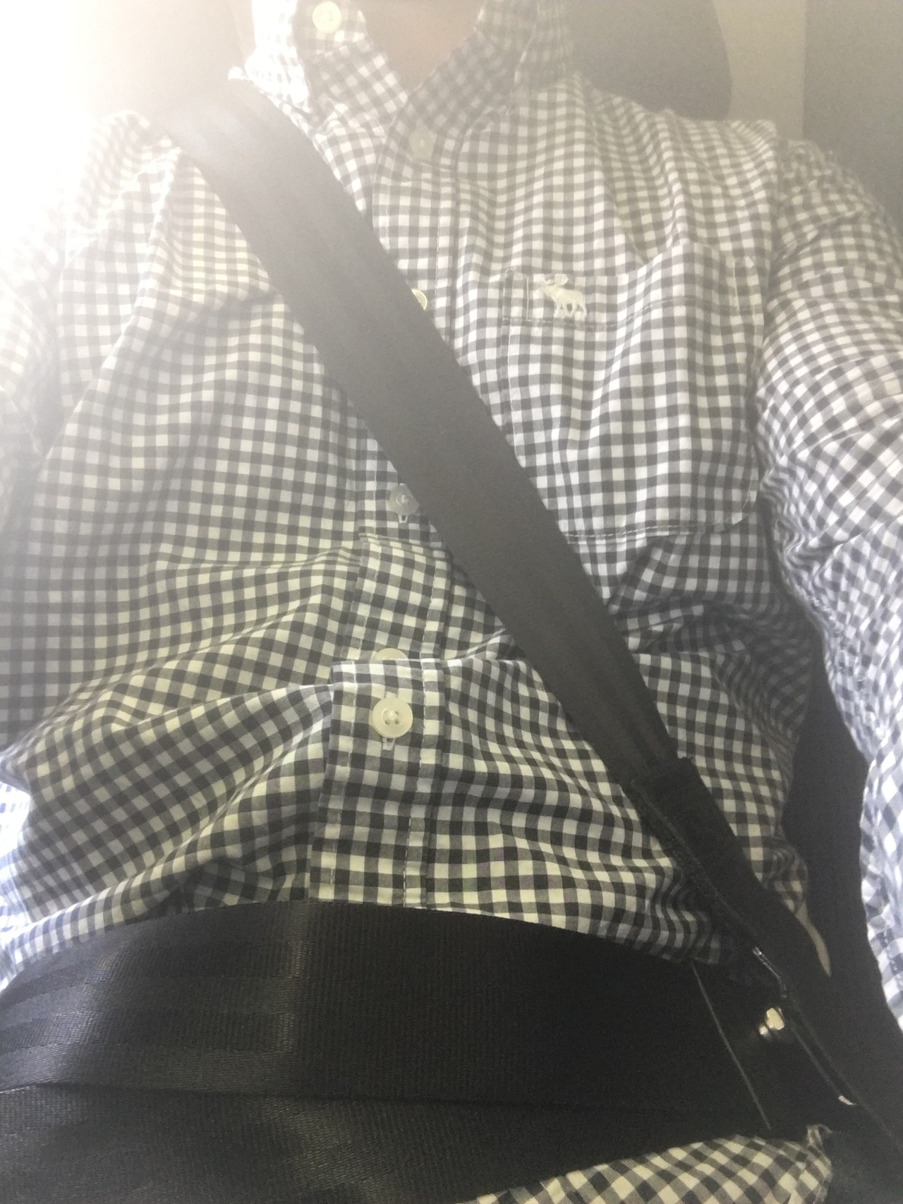 photo seatbelt