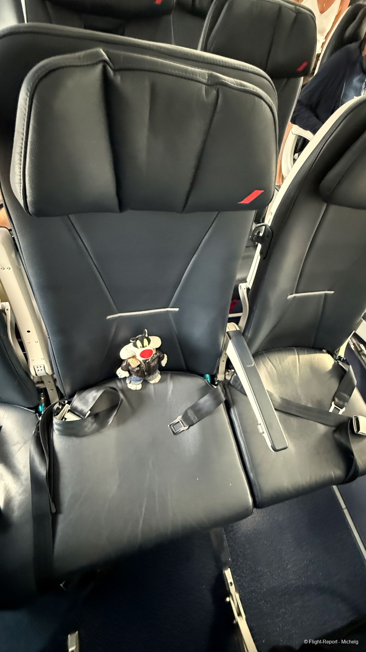 photo img_7096_resultat