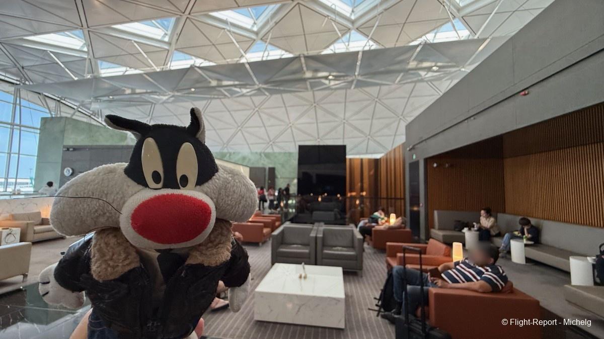 photo img_7802_resultat-32453