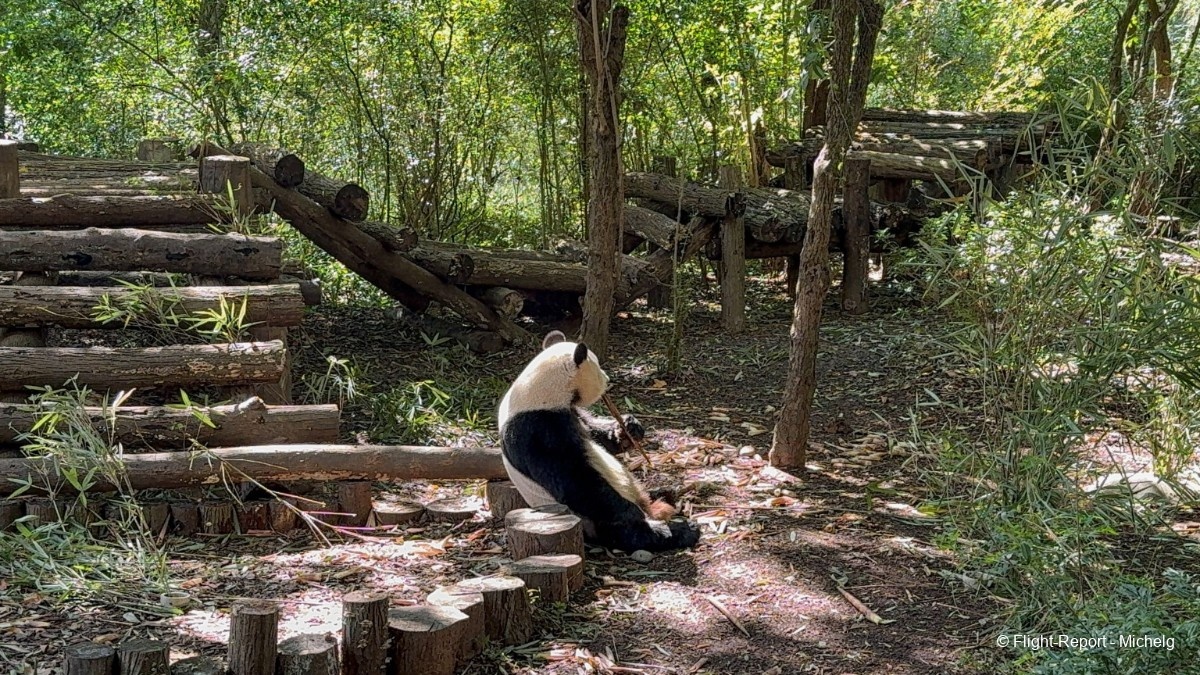 photo img_8504_resultat