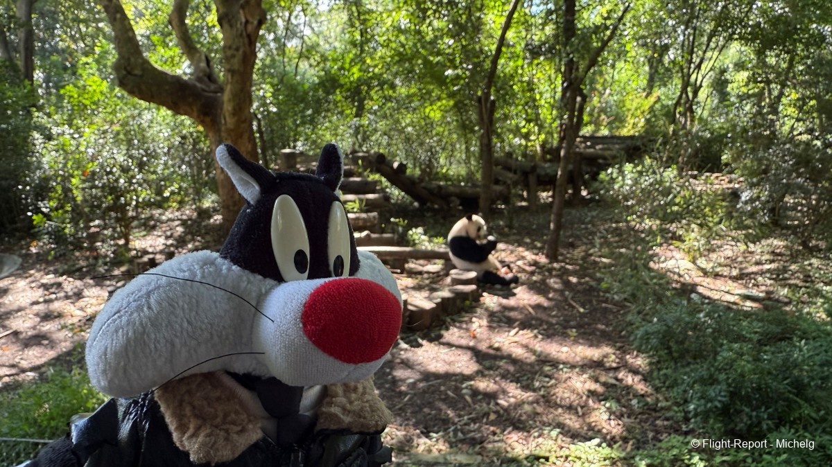 photo img_8510_resultat