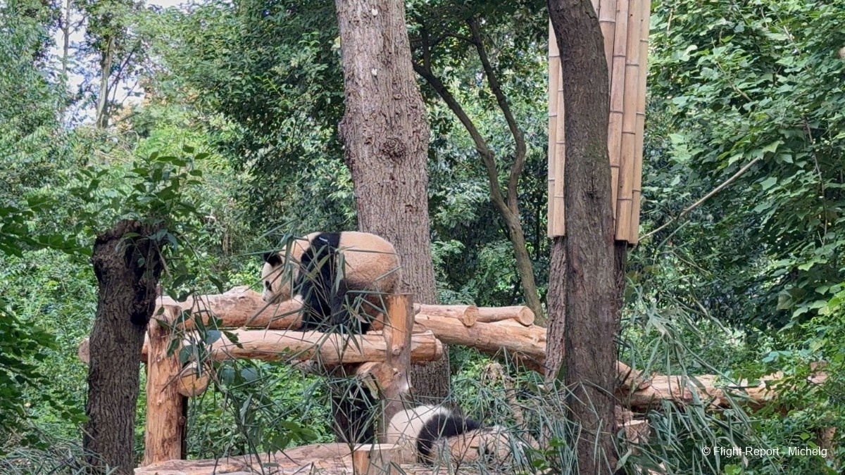 photo img_8543_resultat