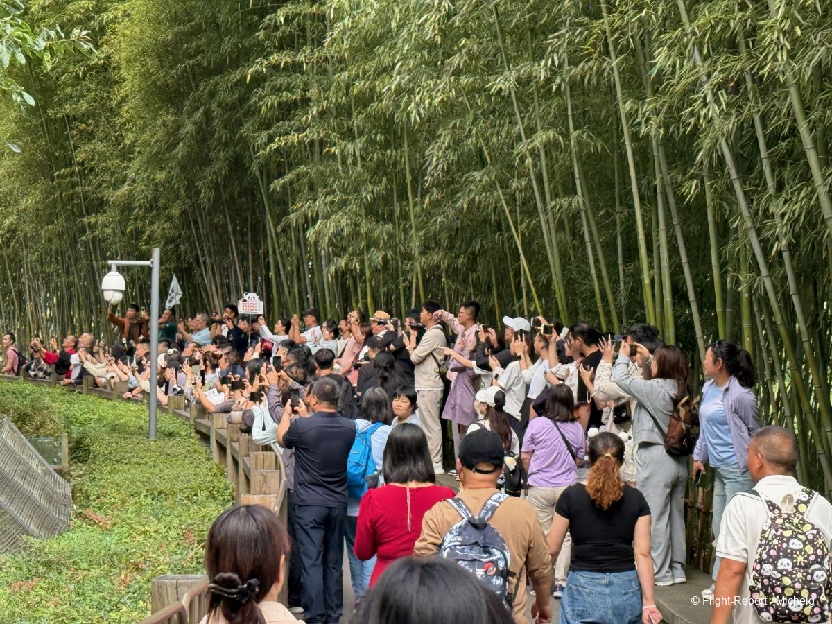 photo img_8556_resultat