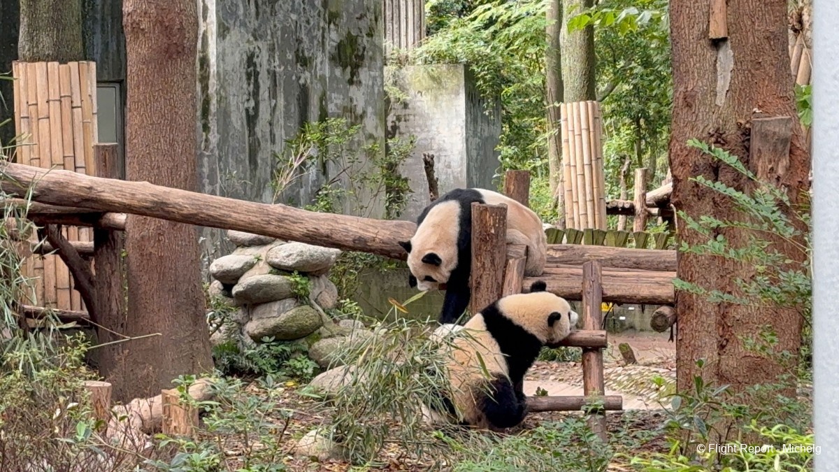 photo img_8564_resultat