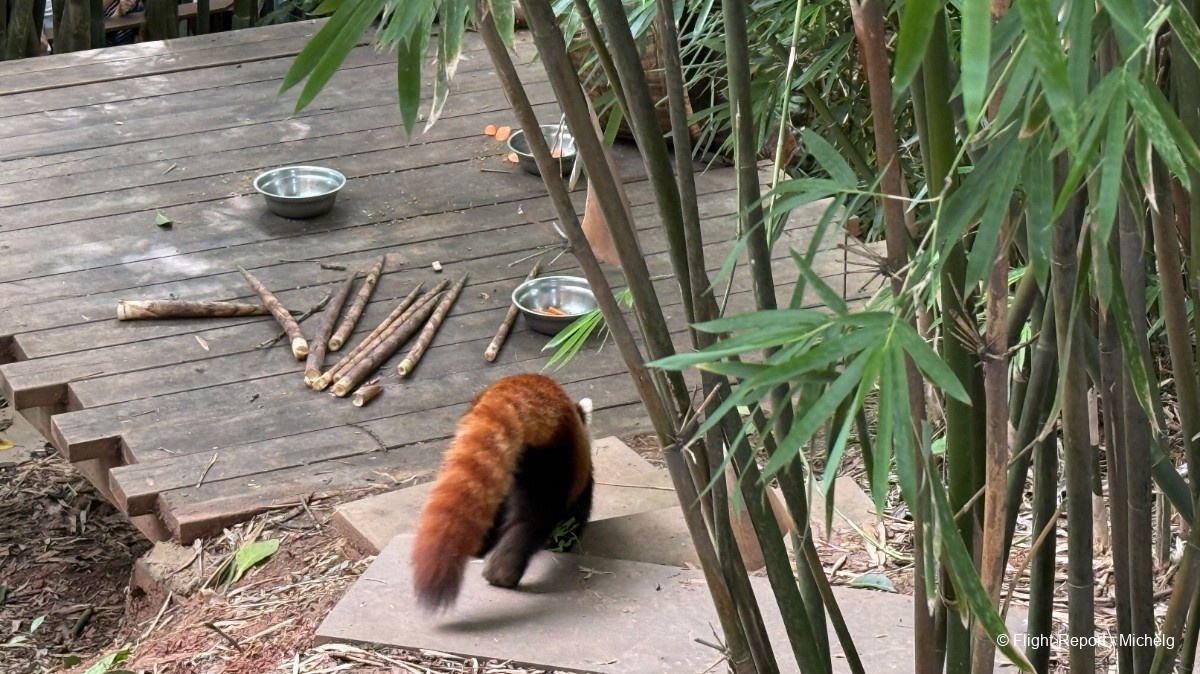 photo img_8571_resultat