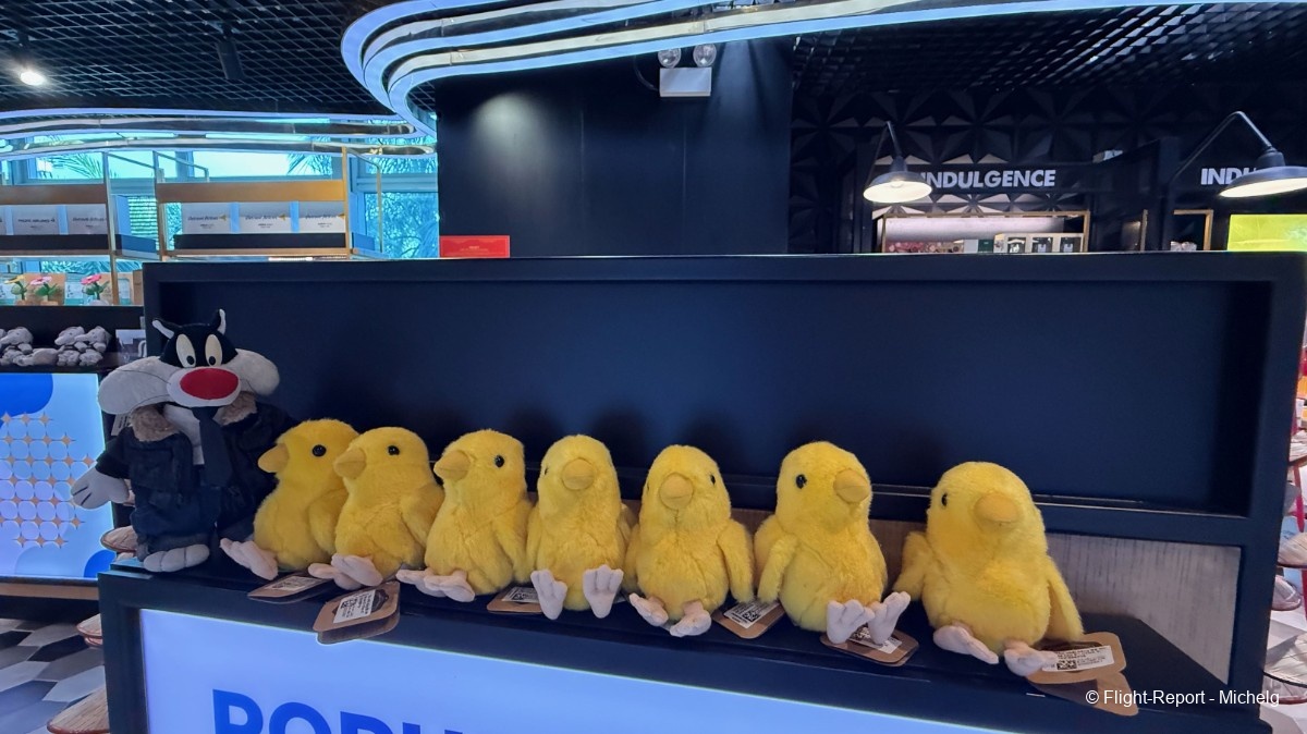 photo img_2856_resultat