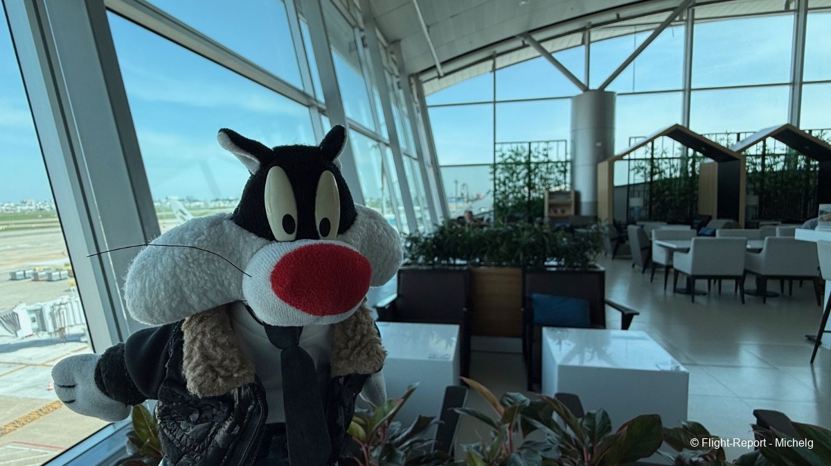 photo img_2889_resultat