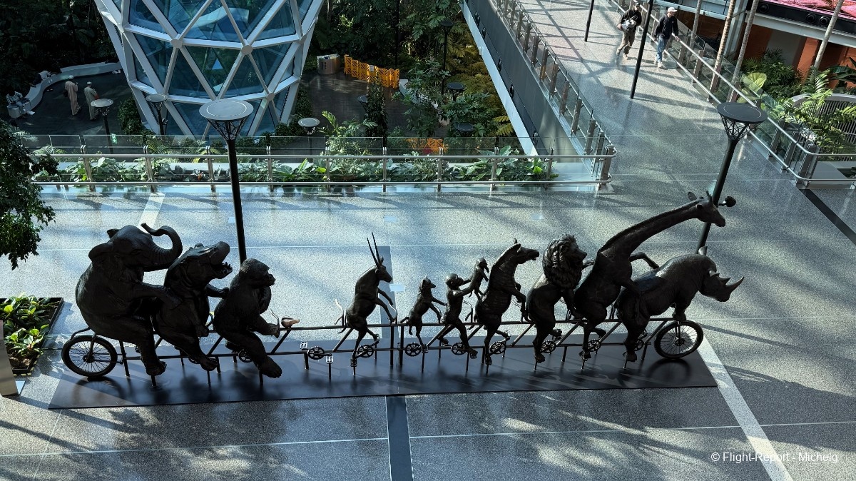 photo img_3482_resultat