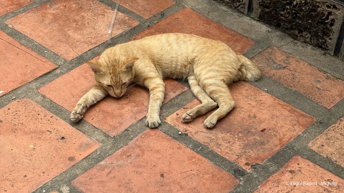 photo img_4853_resultat