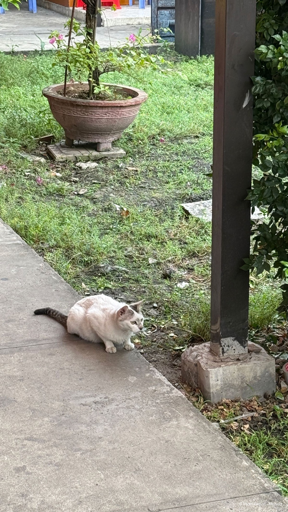 photo img_5274_resultat