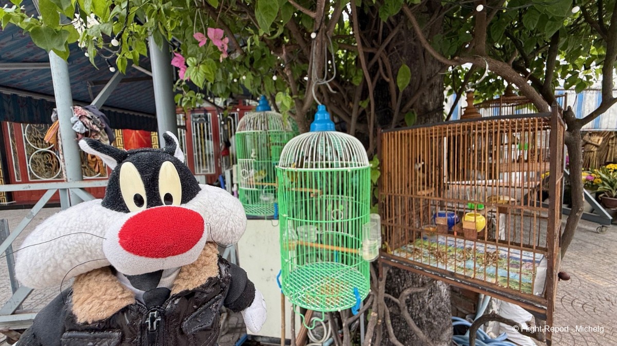 photo img_5293_resultat