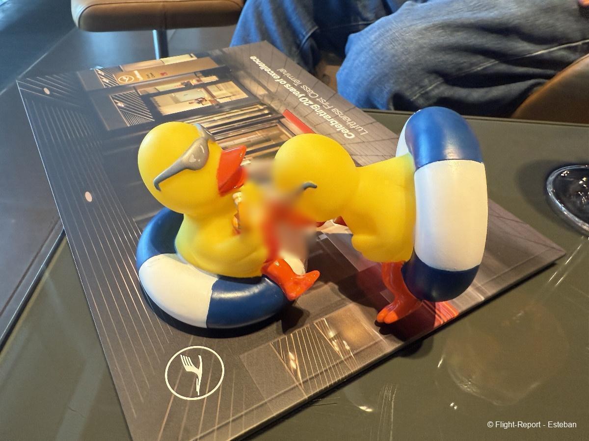 photo img_9346_resultat-43591