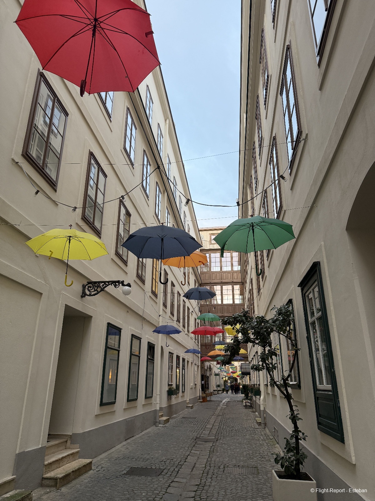 photo img_0515_resultat