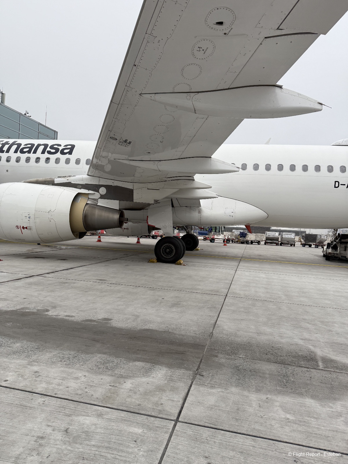 photo img_1142_resultat