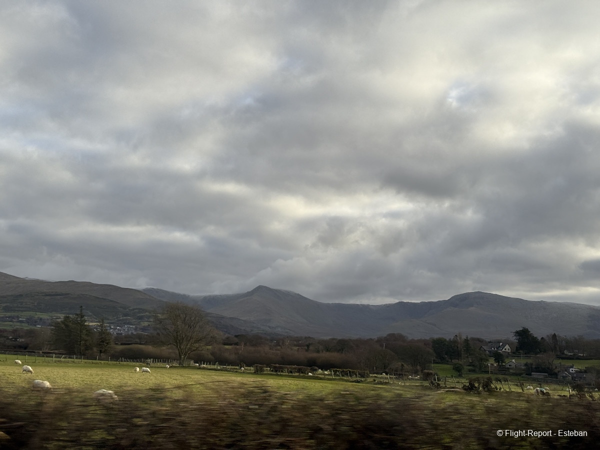 photo img_2950_resultat