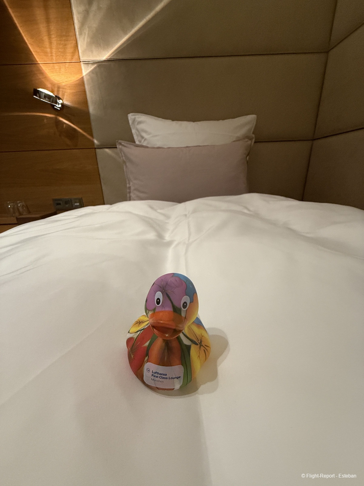 photo img_1724_resultat