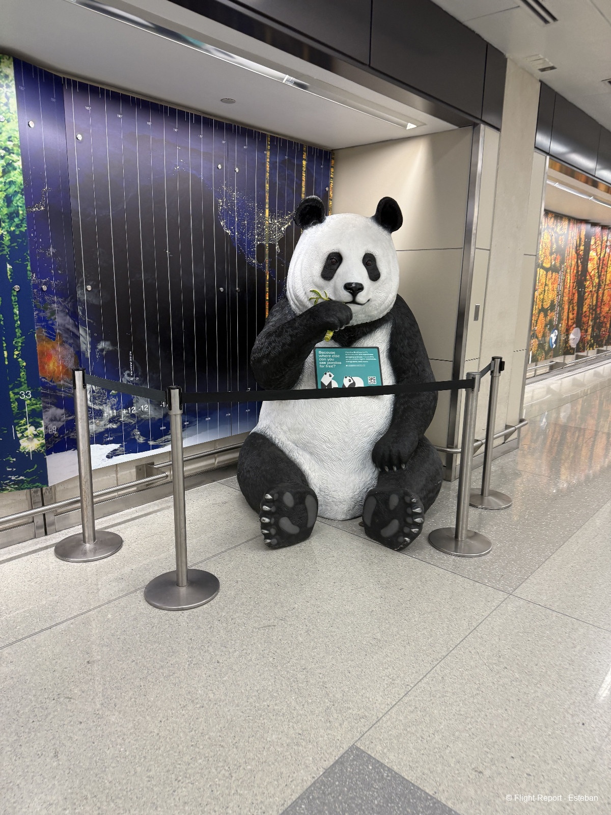 photo img_1931_resultat