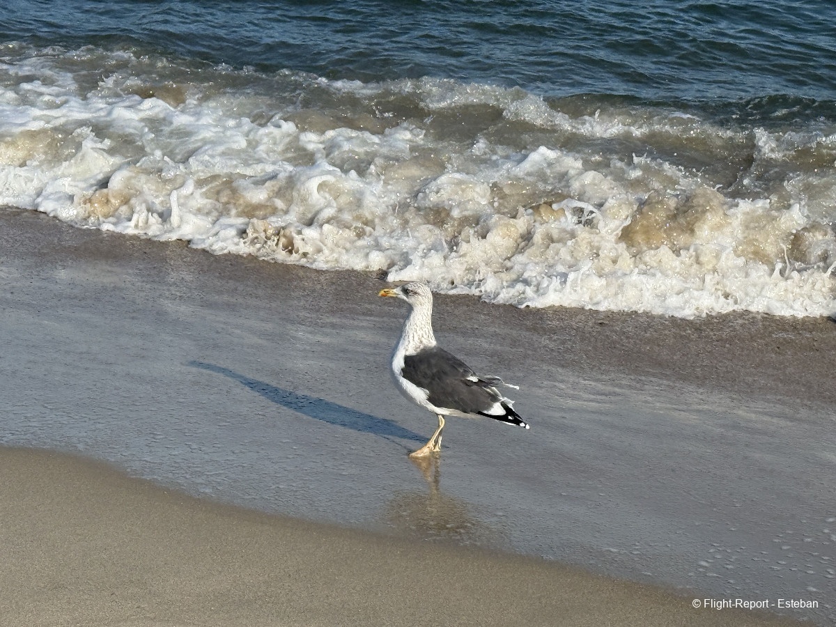 photo img_1952_resultat