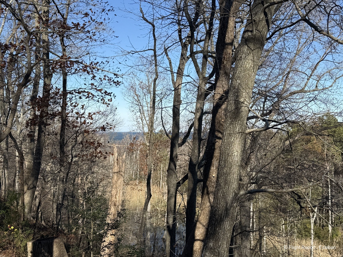 photo img_2008_resultat