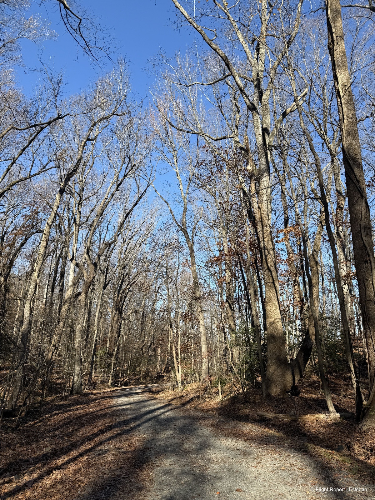 photo img_2009_resultat