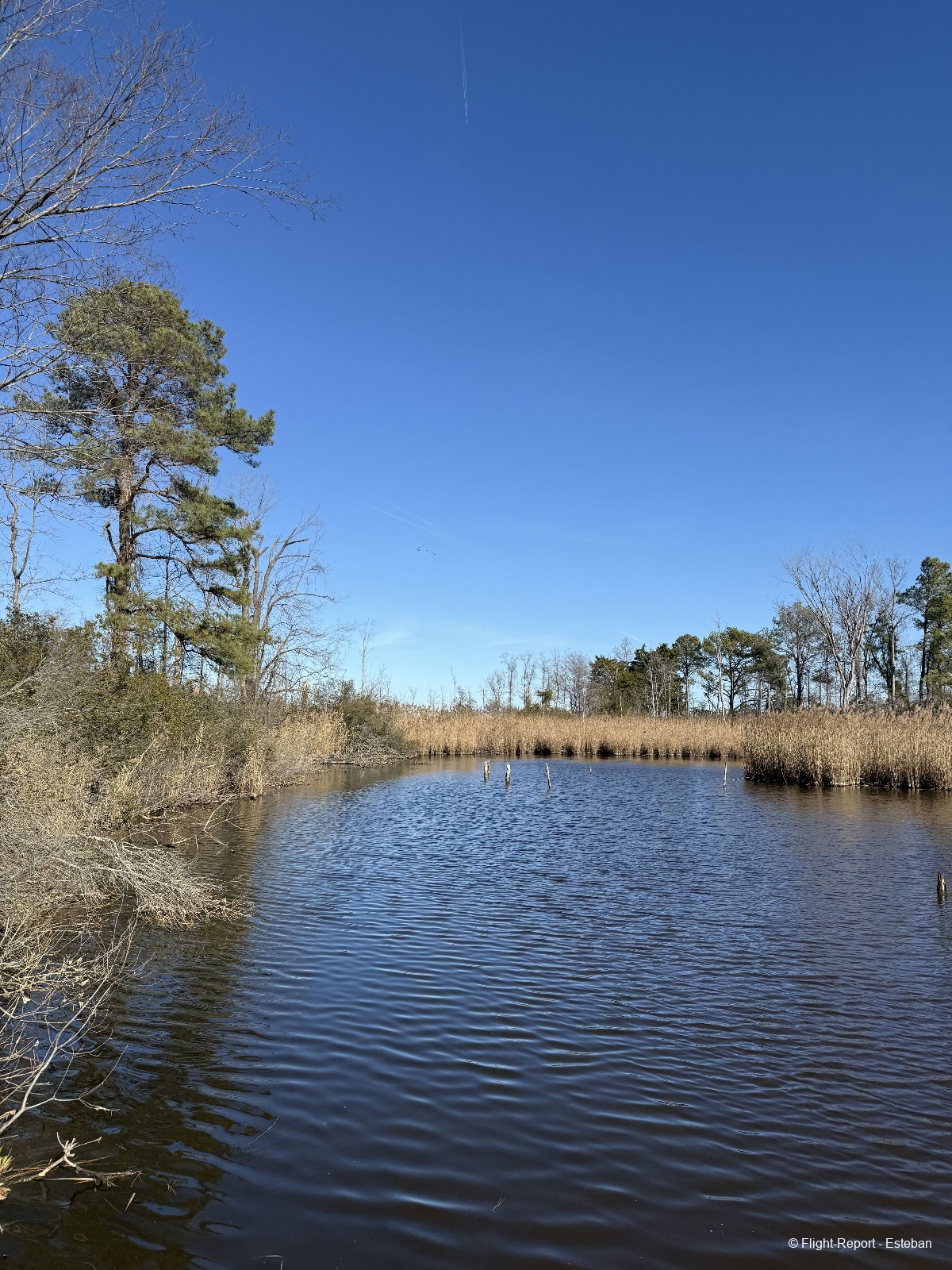 photo img_2010_resultat