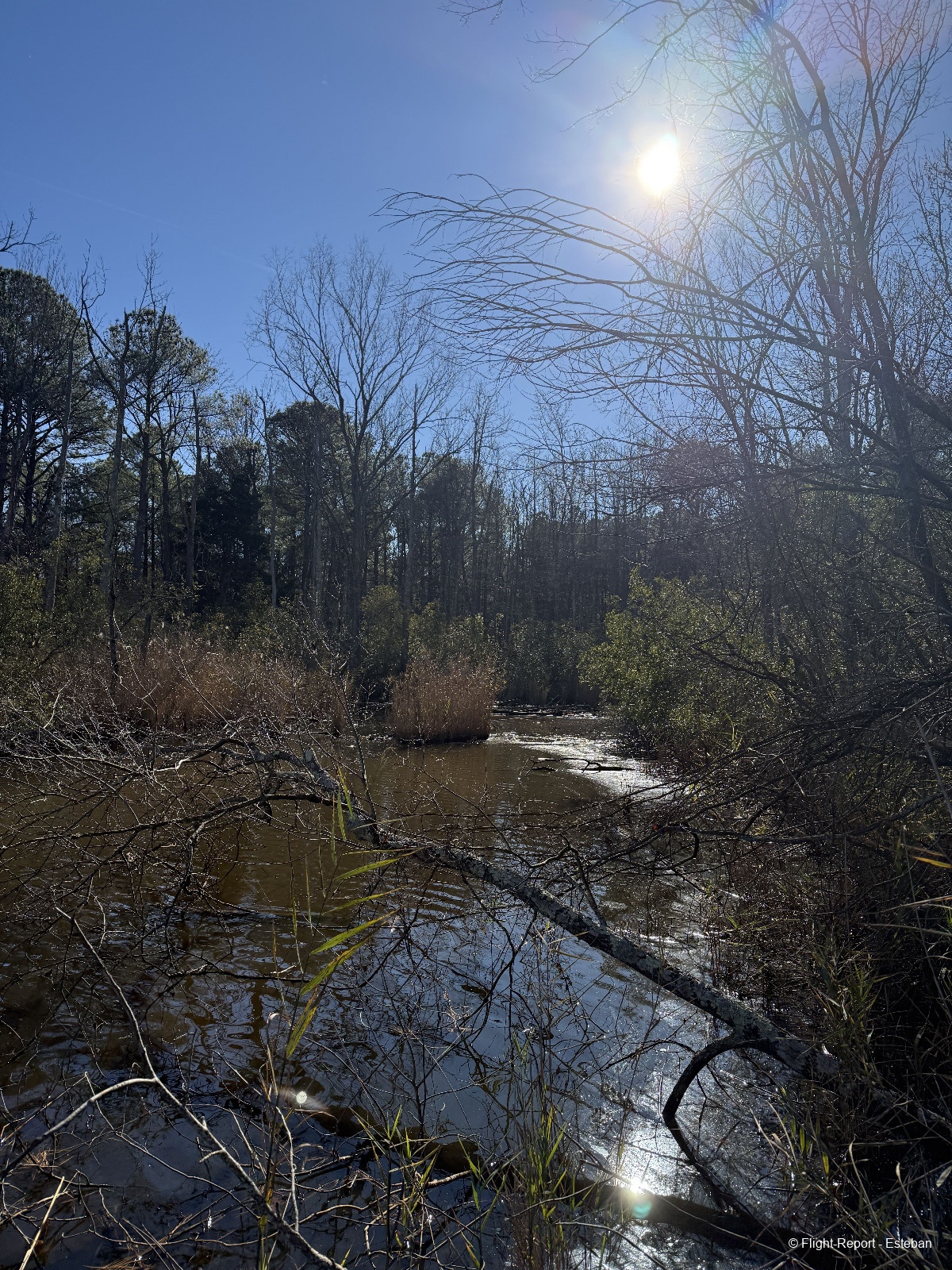 photo img_2011_resultat