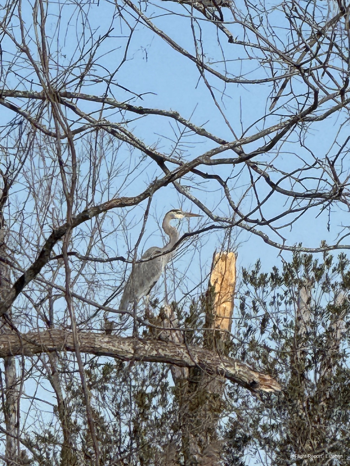 photo img_2014_resultat