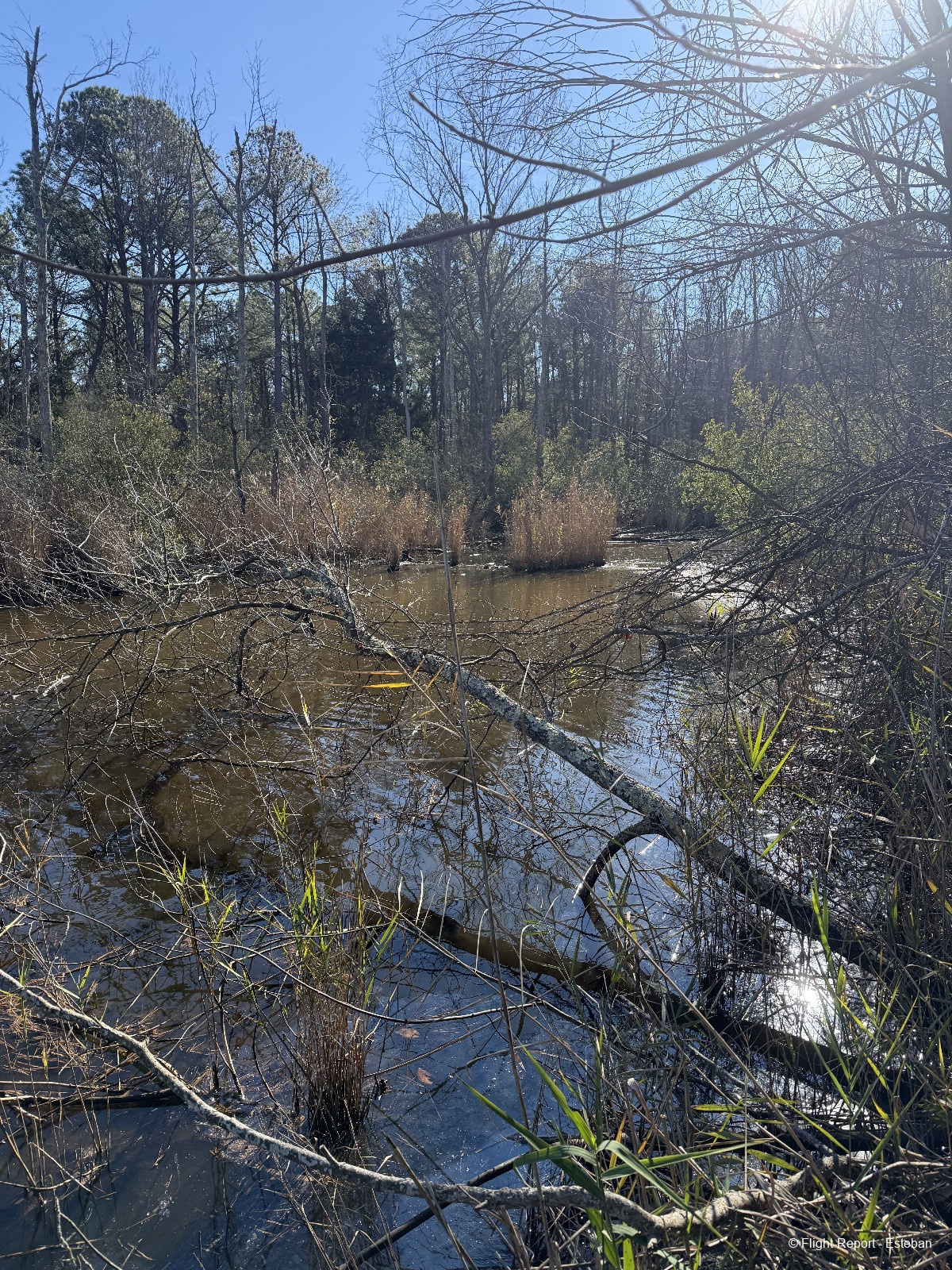 photo img_2017_resultat