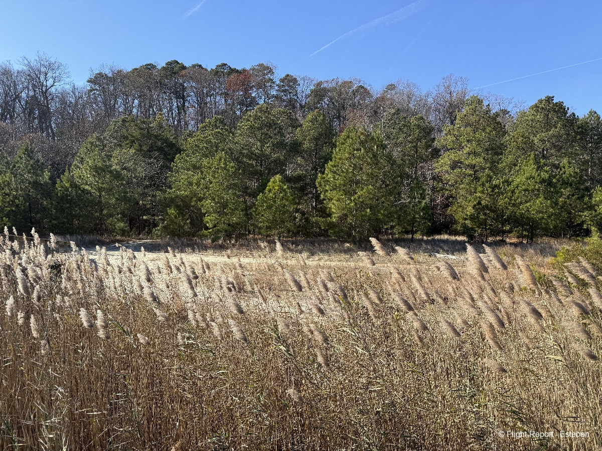 photo img_2022_resultat