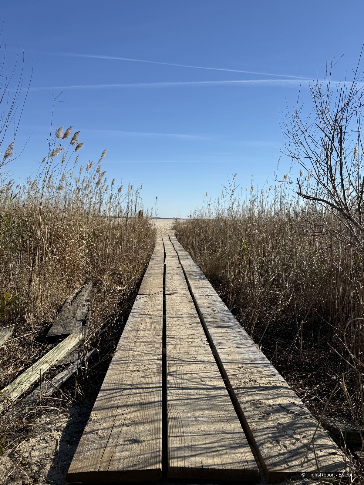 photo img_2030_resultat