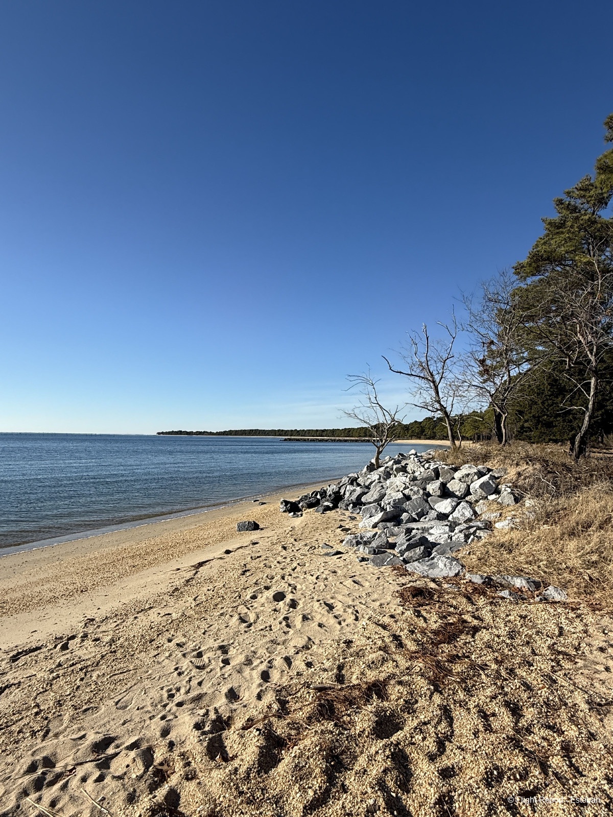 photo img_2078_resultat