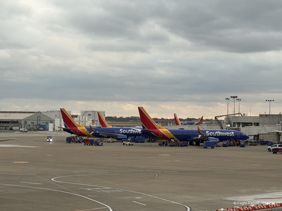 photo img_2460_resultat