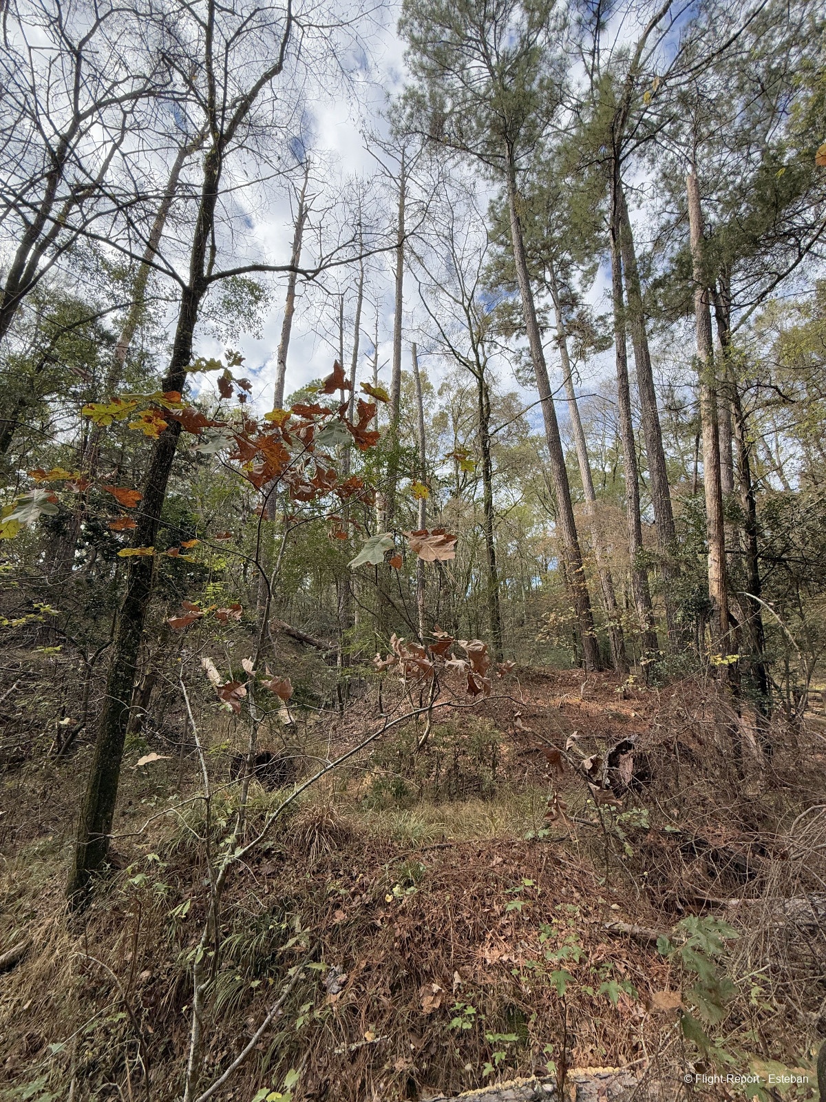 photo img_2391_resultat