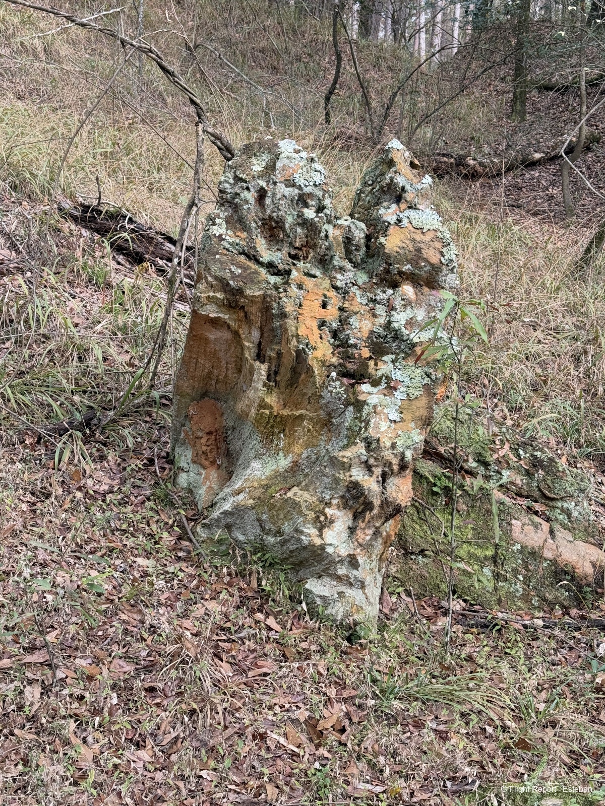 photo img_2392_resultat