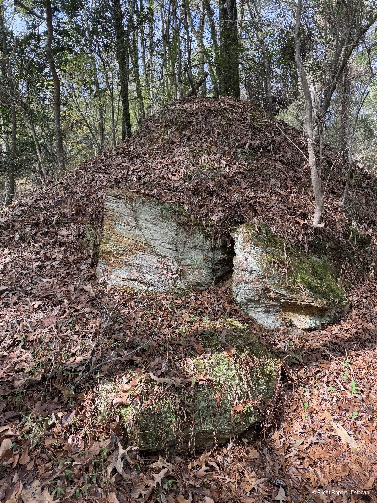 photo img_2393_resultat