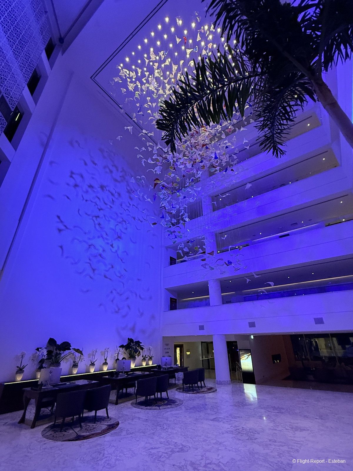 photo img_3539_resultat