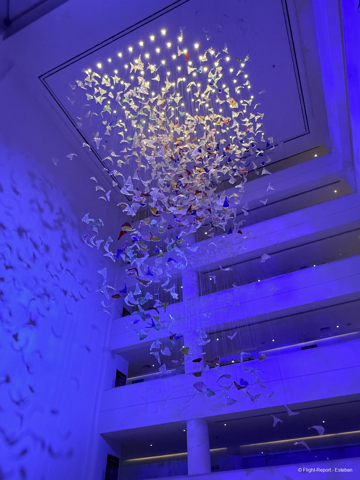 photo img_3540_resultat